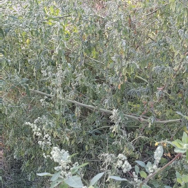 Heinrich-Heine-Straße/ Dresdener Straße, 10179 Berlin, Videostill, 11.10.2021 © Markus Strieder